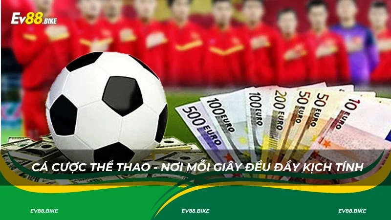 Cá cược thể thao - Nơi mỗi giây đều đầy kịch tính