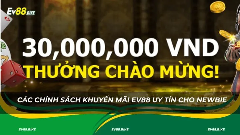 Hoàn tiền thua lỗ dao động từ 10% đến 20% cho newbie