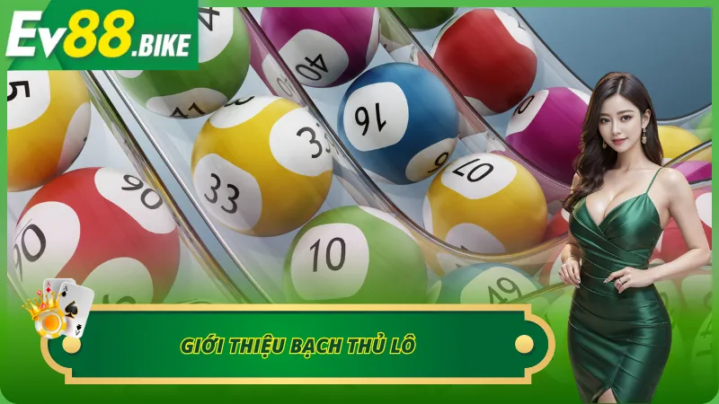 Bạch thủ lô và những thông tin cơ bản cần biết