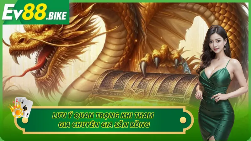 Lưu ý quan trọng khi tham gia chuyên gia săn rồng