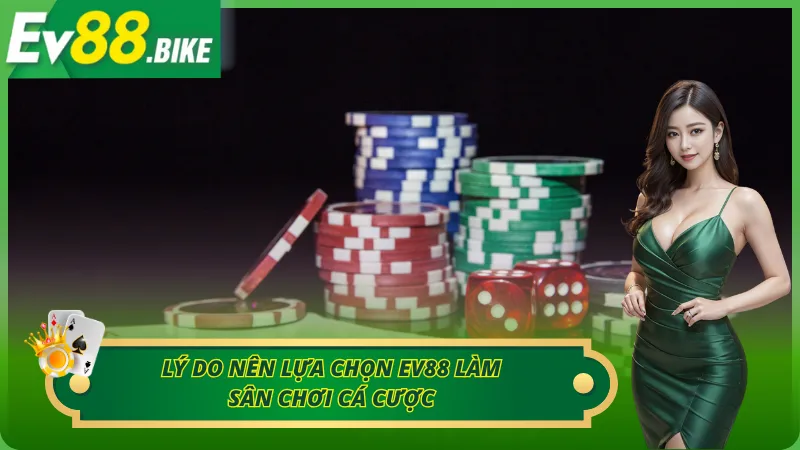 Đặc điểm ưu việt của sân chơi cá cược