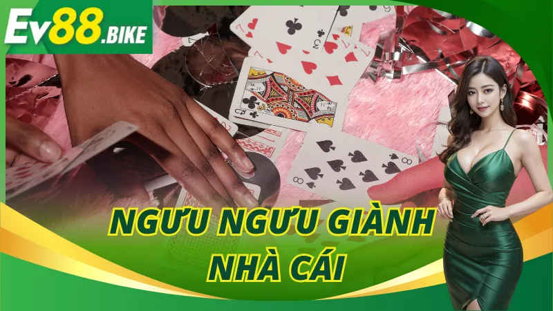 Ngưu Ngưu Giành Nhà Cái