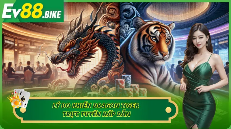 Lý do khiến dragon tiger trực tuyến hấp dẫn tại nhà cái uy tín