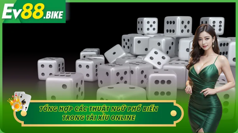 Tổng hợp các thuật ngữ phổ biến trong Tài Xỉu online